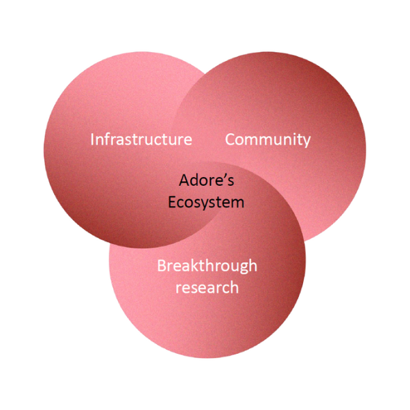 Pillar of the Adore ecosystem: infrastructure